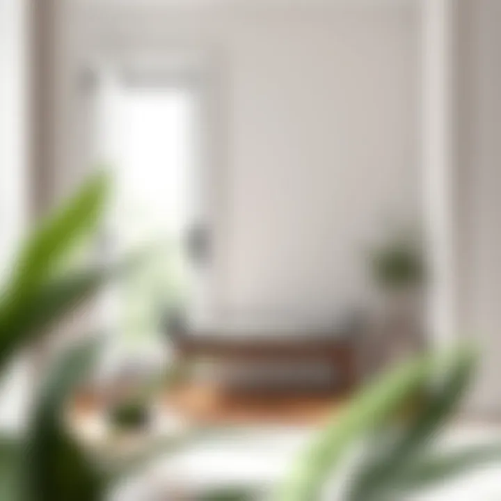 Minimalist Small Doorway Bench Minimalist small doorway bench in a contemporary setting