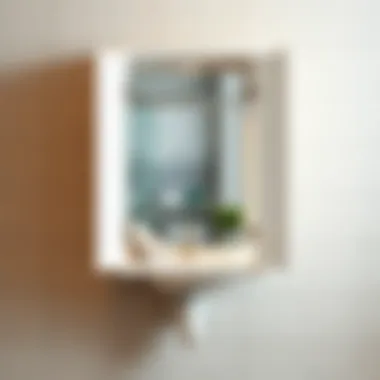 Exploring the Wall-Mounted Medicine Cabinet: A Practical Review without the Mirror Summary Exploring the Wall-Mounted Medicine Cabinet: A Practical Review without the Mirror Summary
