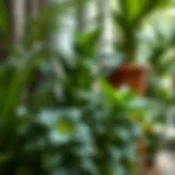Exploring the World of Garden Faux Plants Introduction