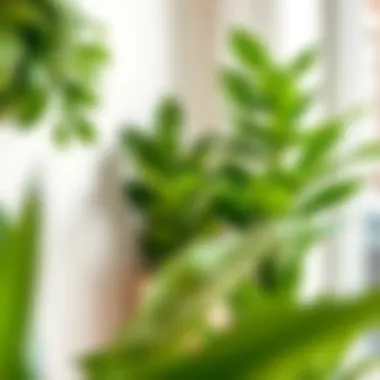 Exploring the World of Garden Faux Plants Summary Exploring the World of Garden Faux Plants Summary