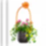Exploring Wall-Mounted Flower Pot Holder Rings: A Comprehensive Guide Introduction