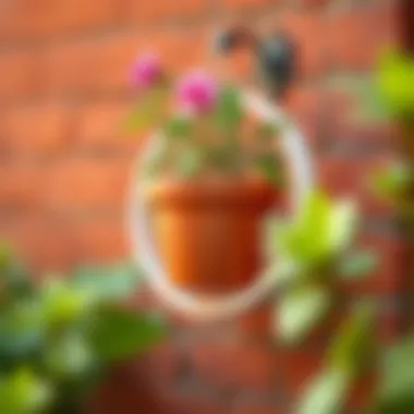 Exploring Wall-Mounted Flower Pot Holder Rings: A Comprehensive Guide Summary Exploring Wall-Mounted Flower Pot Holder Rings: A Comprehensive Guide Summary