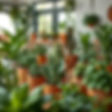 A vibrant green space filled with diverse plants in attractive pots