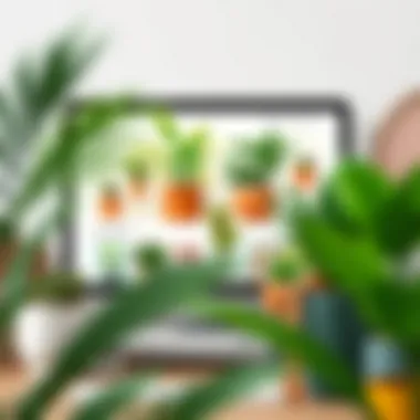 An online shopping interface showcasing affordable plant pots