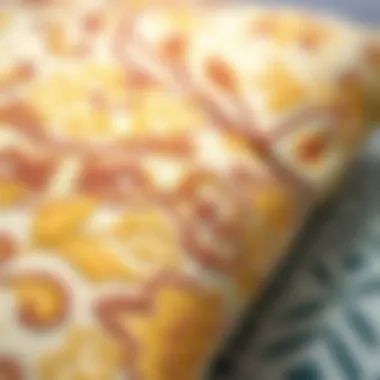 Close-up of high-quality fabric used for papasan cushions showcasing intricate patterns