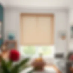 Inside Mount Roller Blinds: A Comprehensive Guide Introduction