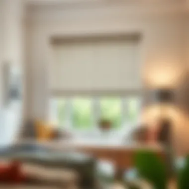 Notable Inside Mount Roller Blinds: A Comprehensive Guide Notable Inside Mount Roller Blinds: A Comprehensive Guide