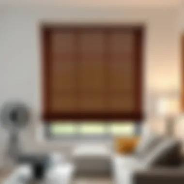 Inside Mount Roller Blinds: A Comprehensive Guide Summary Inside Mount Roller Blinds: A Comprehensive Guide Summary