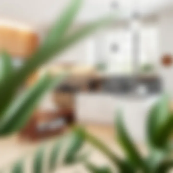 Aesthetic design of an L-shaped kitchen bench enhancing space