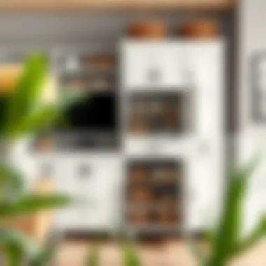 Notable Navigating the Online Marketplace for Storage Cabinets Notable Navigating the Online Marketplace for Storage Cabinets