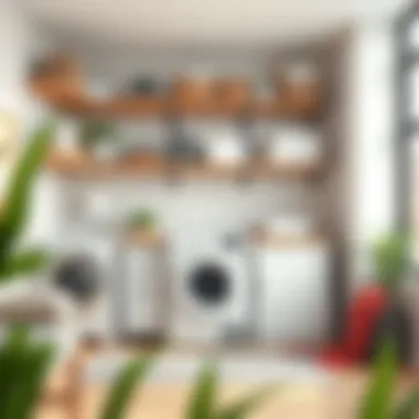 Optimizing Laundry Spaces: The Role of Shelves and Storage Racks Introduction Optimizing Laundry Spaces: The Role of Shelves and Storage Racks Introduction