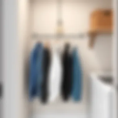 Notable Optimizing Your Laundry Room with the Right Clothes Hanger Notable Optimizing Your Laundry Room with the Right Clothes Hanger