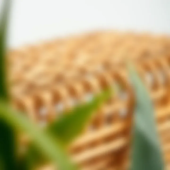 Eco-friendly rattan material close-up
