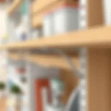 Detailed view of Rev A Shelf hardware enhancing home storage efficiency