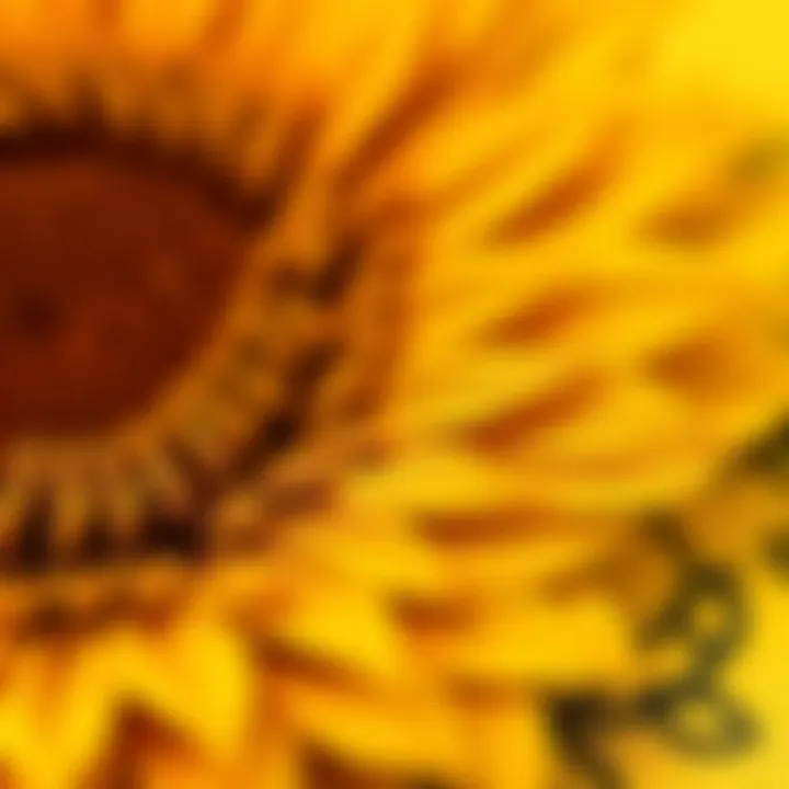 Intricate Sunflower Fabric Texture Close-up of sunflower fabric texture showcasing intricate patterns.