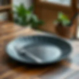 The Aesthetic and Functional Aspects of the Large Black Plate Introduction