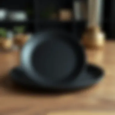 The Aesthetic and Functional Aspects of the Large Black Plate Summary The Aesthetic and Functional Aspects of the Large Black Plate Summary