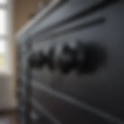 Elegant black drawer pulls in a stylish kitchen