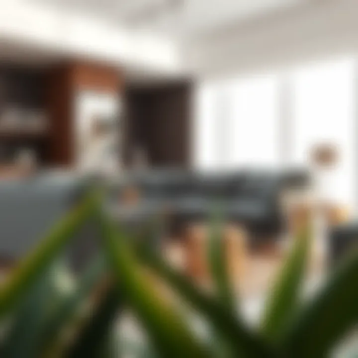 The Allure of Extra Deep Seat Couches: A Comprehensive Exploration Introduction