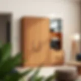 The Double Wall Cabinet: Functionality and Design in Modern Spaces Introduction