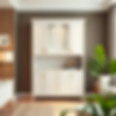 Notable The Double Wall Cabinet: Functionality and Design in Modern Spaces Notable The Double Wall Cabinet: Functionality and Design in Modern Spaces