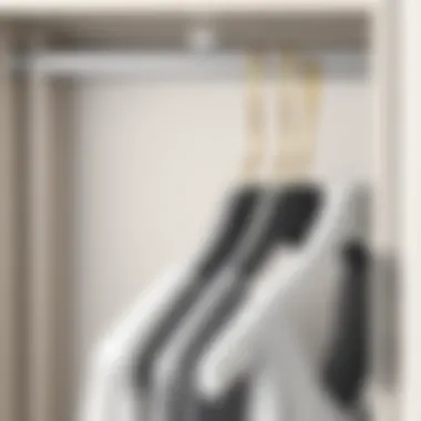 A beautifully organized closet featuring grey velvet hangers with gold hooks against a neutral backdrop