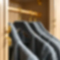 Sophisticated arrangement of grey velvet hangers with gold hooks in a stylish wardrobe