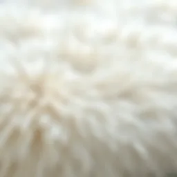 Luxurious texture of a white faux fur rug showcasing its plushness