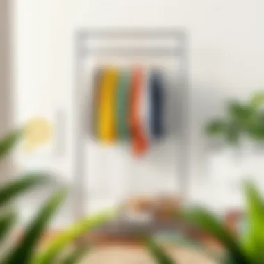 The Practical Appeal of Foldable Clothes Racks Summary The Practical Appeal of Foldable Clothes Racks Summary