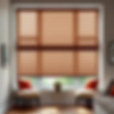 Elegant cellar window blinds enhancing natural light