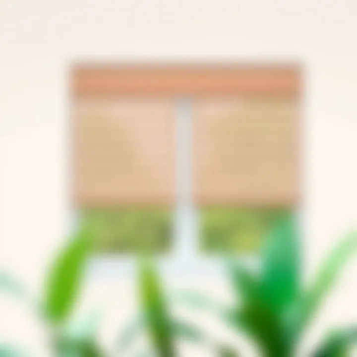 Stylish design ideas for cellar window blinds