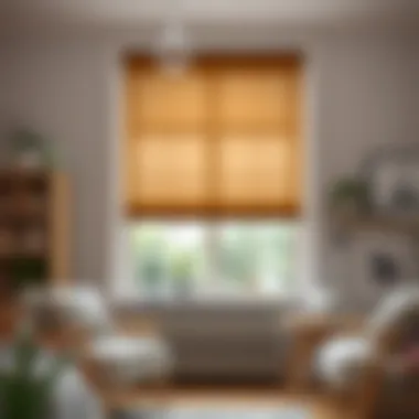 Variety of materials for cellar window blinds