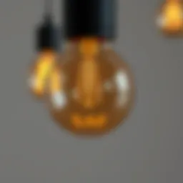 Close-up view of a G40 bulb showcasing its unique round shape and design