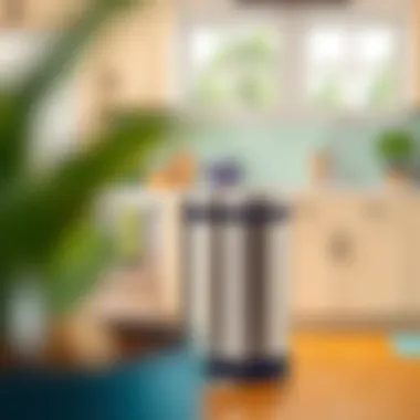 Understanding Tall Kitchen Trash Cans with Foot Pedals Summary Understanding Tall Kitchen Trash Cans with Foot Pedals Summary