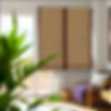 Notable Walmart Bamboo Roman Shades: A Comprehensive Guide Notable Walmart Bamboo Roman Shades: A Comprehensive Guide